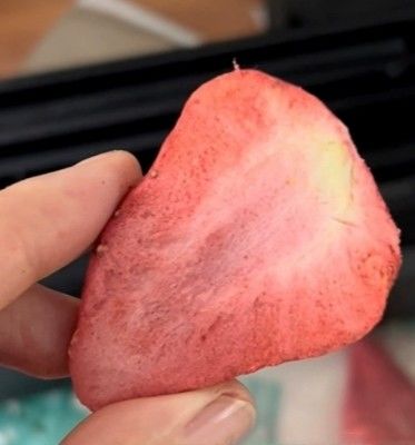 10kg 대량 과일과 채소 가공용 진공 냉동 건조기