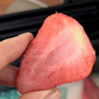 상업용 환경에서 과일 및 채소 고기를 위한 진공 냉동 탈수 장비
