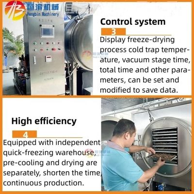 해산물 및 과일 38kw 에너지 절감 냉동 건조기 1400*1000mm 트레이 크기