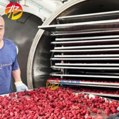 해산물 및 과일 38kw 에너지 절감 냉동 건조기 1400*1000mm 트레이 크기